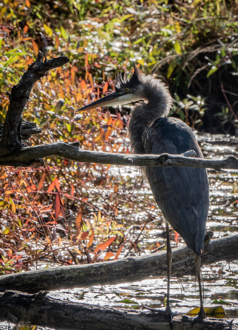 Town of Preble New York Photos